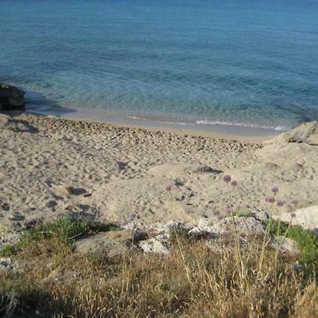 Attico A 150 Mt Dal Mare Βίλα Marina di Mancaversa Εξωτερικό φωτογραφία