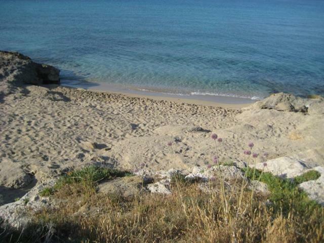 Attico A 150 Mt Dal Mare Βίλα Marina di Mancaversa Εξωτερικό φωτογραφία